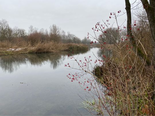 Klosterbach (Blindheim)-1