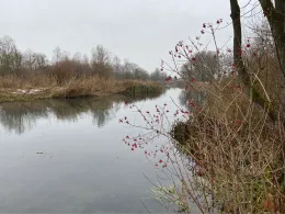 Klosterbach (Blindheim)-1