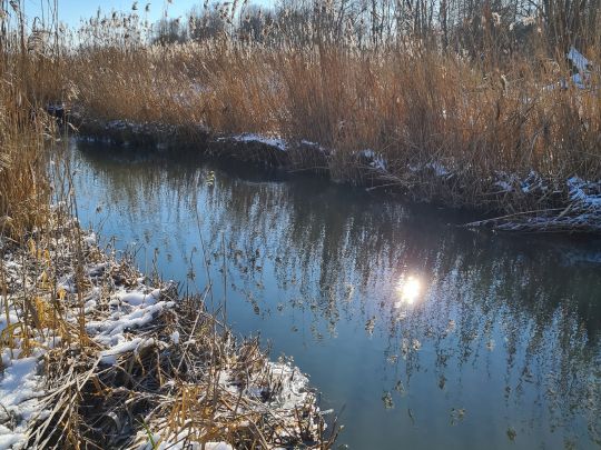 Klosterbach (Blindheim)-2