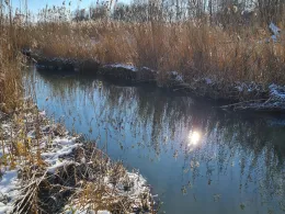 Klosterbach (Blindheim)-2