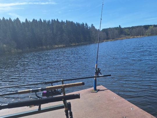 Holzmühleweiher (Vogt)-4