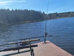 Holzmühleweiher (Vogt)-4