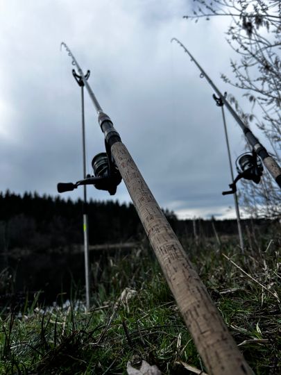 Holzmühleweiher (Vogt)-3