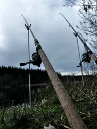 Holzmühleweiher (Vogt)-3