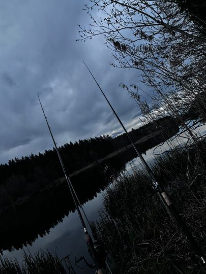 Holzmühleweiher (Vogt)-1