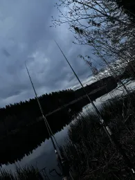 Holzmühleweiher (Vogt)-1