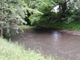 Mümling (Michelstadt)-2