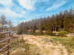 Mittlerer Grumbacher Teich-1