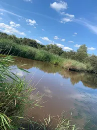 Golzwarder Zuggraben-3