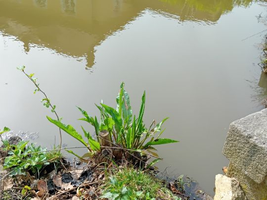 Schlossgraben Milkel-1