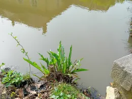 Schlossgraben Milkel-1