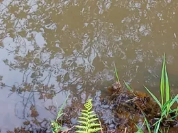 Schlossgraben Milkel-2