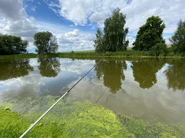 Fischteich Osterwieck-1