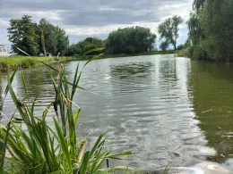 Fischteich Osterwieck-2