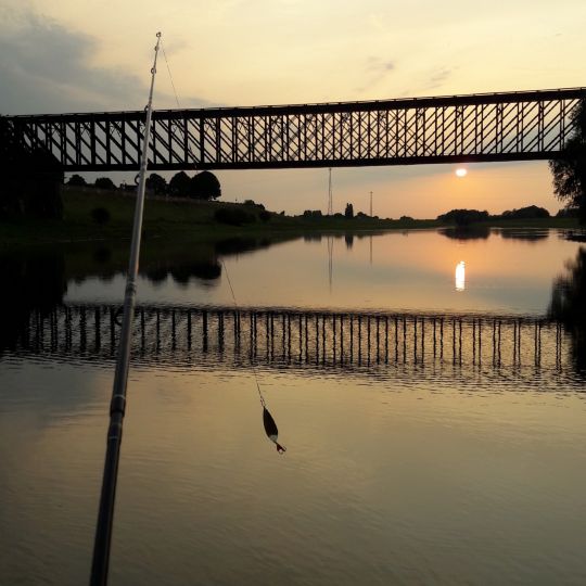 Altrhein Griethausen-4