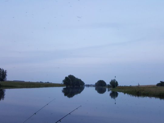 Altrhein Griethausen-1