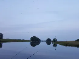 Altrhein Griethausen-1