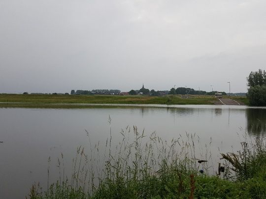 Altrhein Griethausen-3