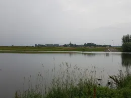 Altrhein Griethausen-3