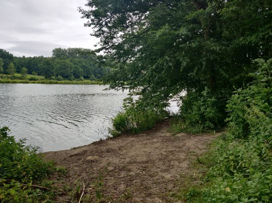 Obersee (BielefeldSchildesche) ALLE ANGELN