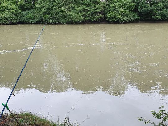Mittlerer Isarkanal (Finsing) angeln