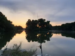 Berghäuser Altrhein-4