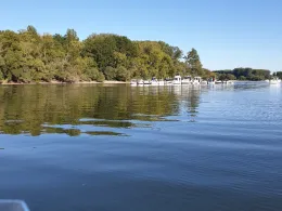 Berghäuser Altrhein-3