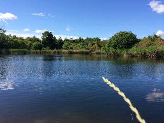 Ziegeleiteich Offleben-1