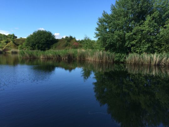 Ziegeleiteich Offleben-0