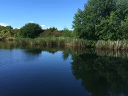 Ziegeleiteich Offleben-0