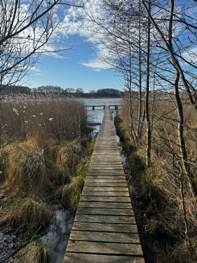 Großer See (Neu Heinde)-1