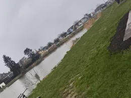 Quackery (Village-Neuf)