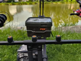 Quackery (Village-Neuf)-1