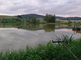 Furthweiher (Hauzenberg)-1