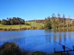 Furthweiher (Hauzenberg)-3