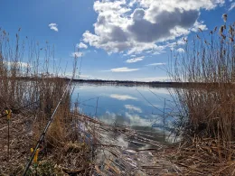 Swine (Swinemünde)-1