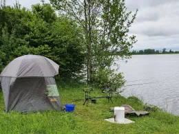 Donau (Geisling-Kiefenholz)