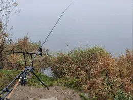 Donau (Geisling-Kiefenholz)-4