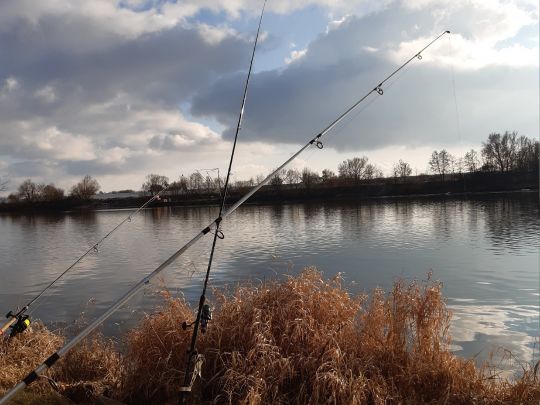 Donau (Geisling-Kiefenholz)-2