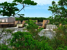 Donau (Geisling-Kiefenholz)-1