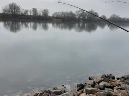 Donau (Geisling-Kiefenholz)-3