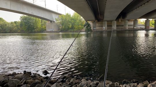 Main (Eddersheim-Okriftel)-2