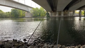 Main (Eddersheim-Okriftel)-2