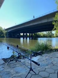 Main (Eddersheim-Okriftel)-3