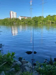 Main (Eddersheim-Okriftel)-4