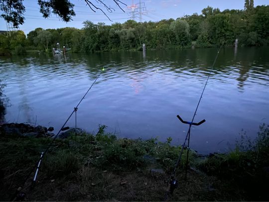 Main (Eddersheim-Okriftel)-1