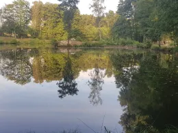 Ententeich (Schermbeck)-2