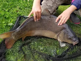 Kormoran Sulęcin -4