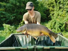 Kormoran Sulęcin -3