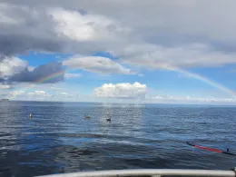 Ulvøya-3